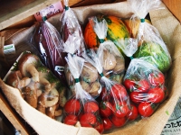 「マルシェ&キッチン」風景