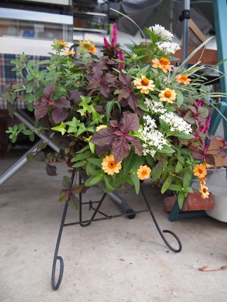 ①スリットタイプ